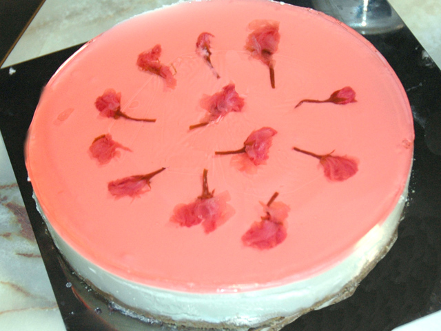 春の香り！桜の花の塩漬けで作るレアチーズケーキ